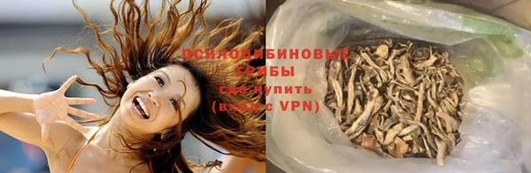 apvp Арсеньев