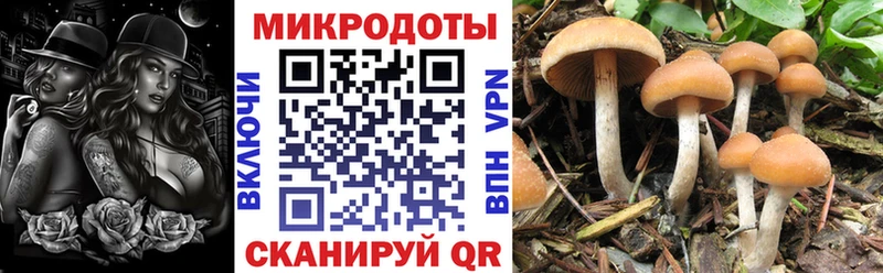 Псилоцибиновые грибы MAGIC MUSHROOMS Осташков